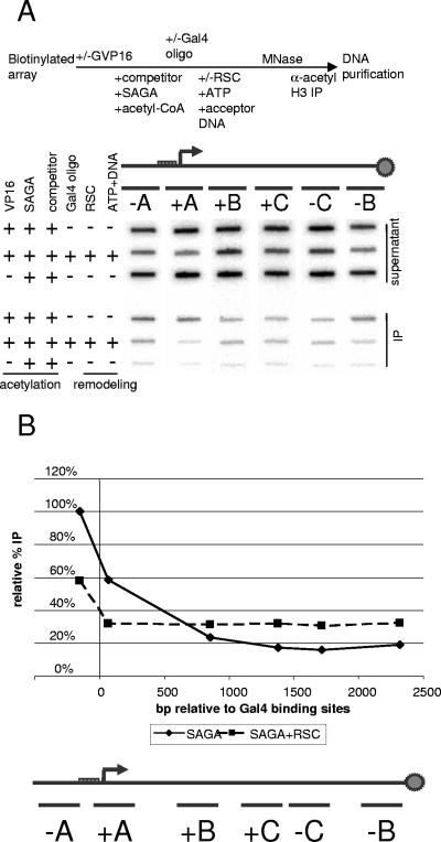 FIG. 5.