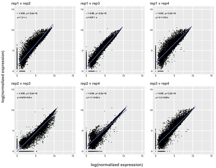 Figure 1—figure supplement 2.