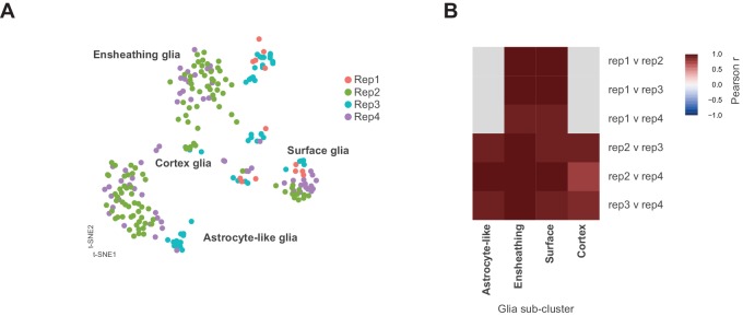 Figure 9—figure supplement 1.