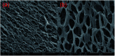 Fig. 13