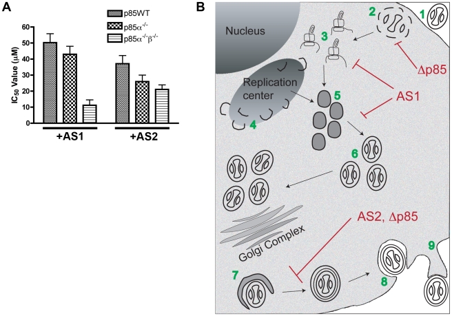 Figure 11