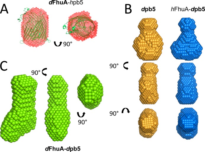 FIGURE 4.