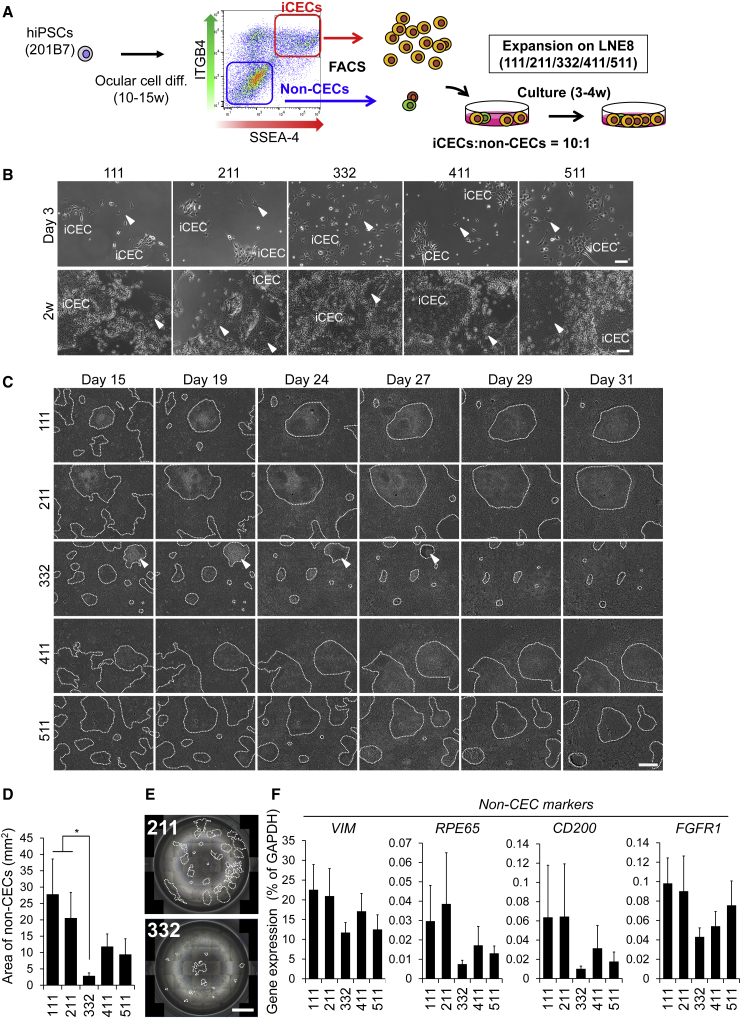 Figure 4