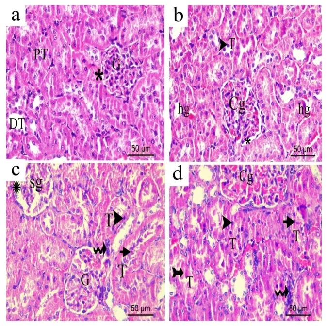 Figure 18