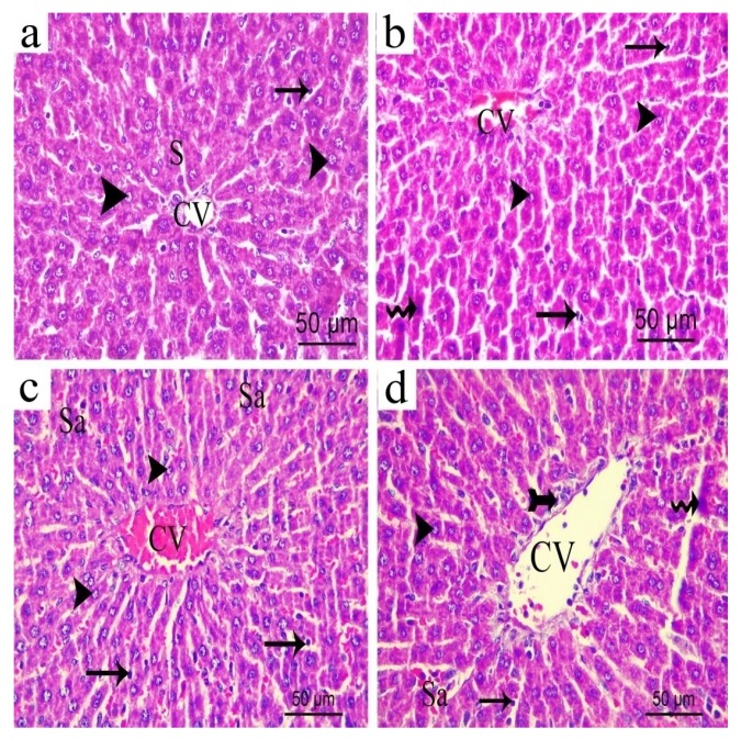 Figure 19