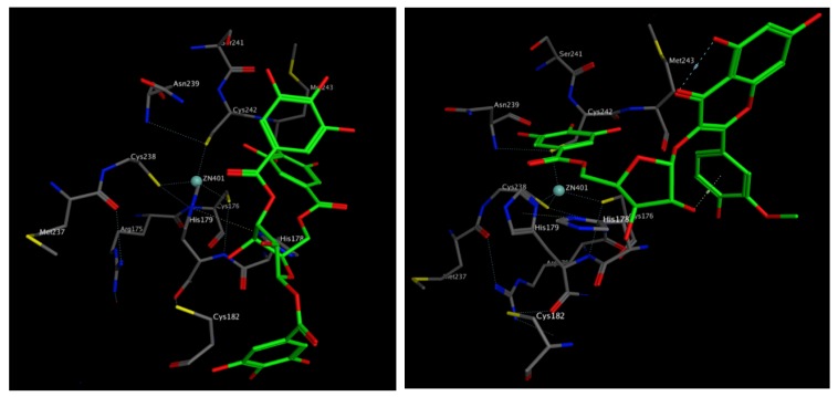 Figure 20