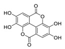 graphic file with name biomedicines-09-00689-i039.jpg