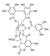 graphic file with name biomedicines-09-00689-i010.jpg