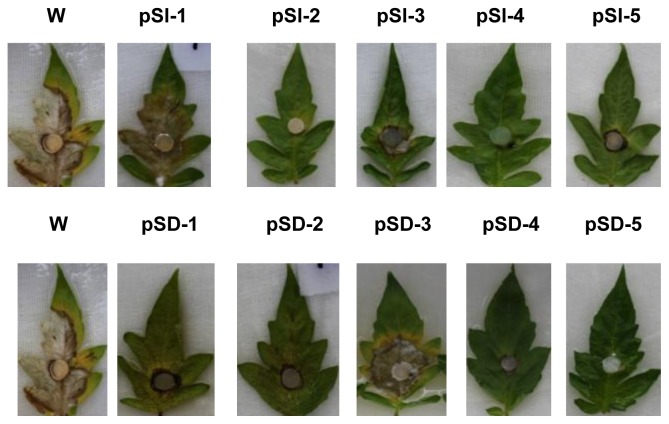 Figure 6.