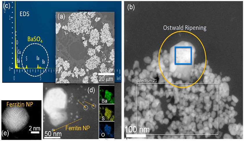 Figure 12.