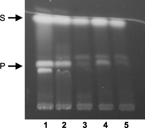 FIG. 5.