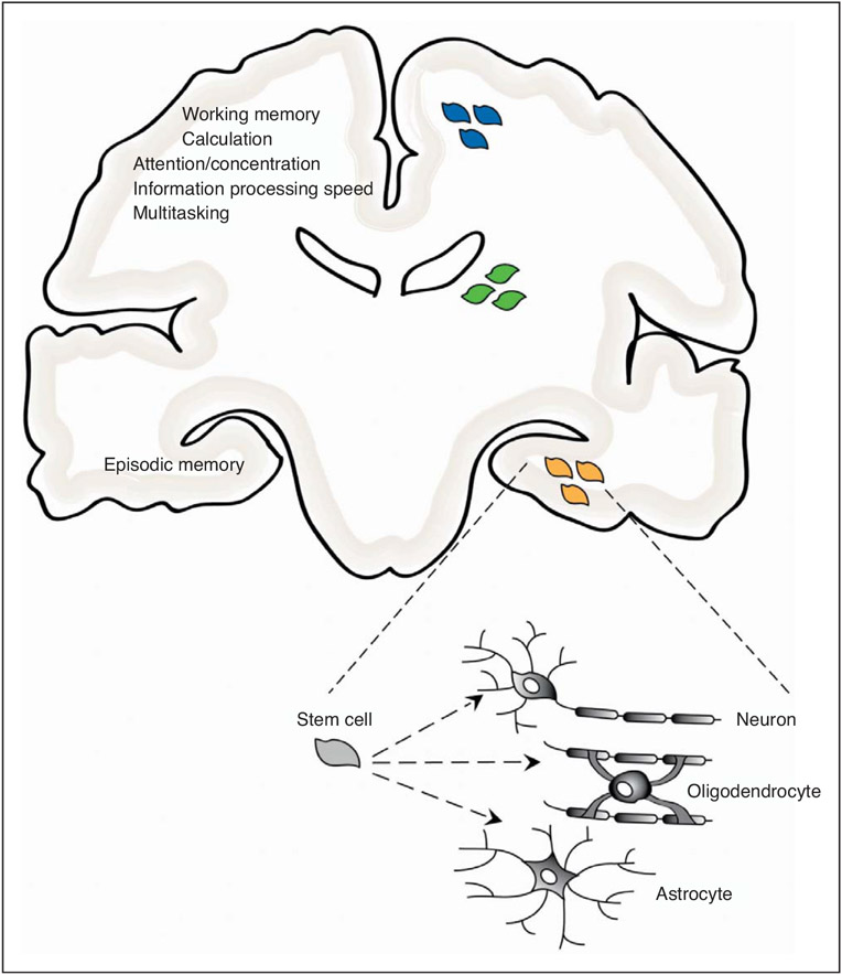 FIGURE 1.