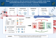 Image, graphical abstract