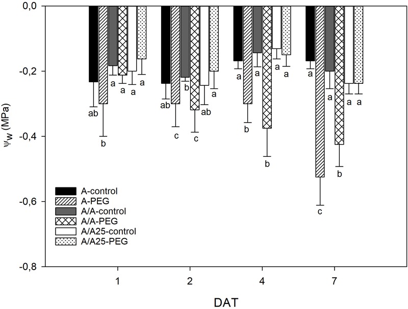 FIGURE 4