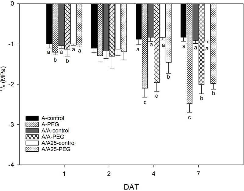 FIGURE 5