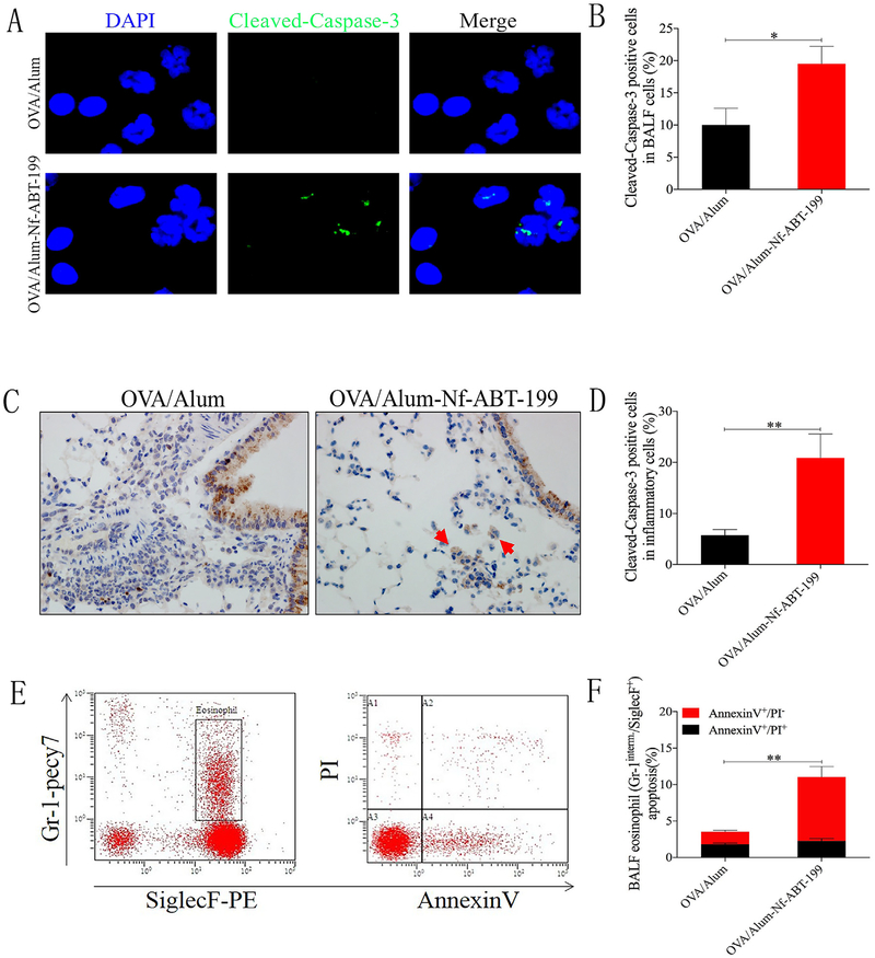 Nanoformulated ABT-199 to effectively target Bcl-2 at mitochondrial ...