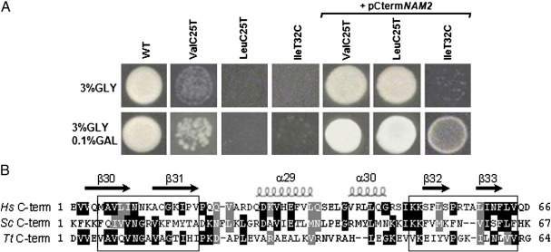 Fig. 2