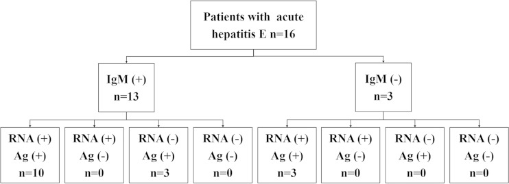 FIG 4