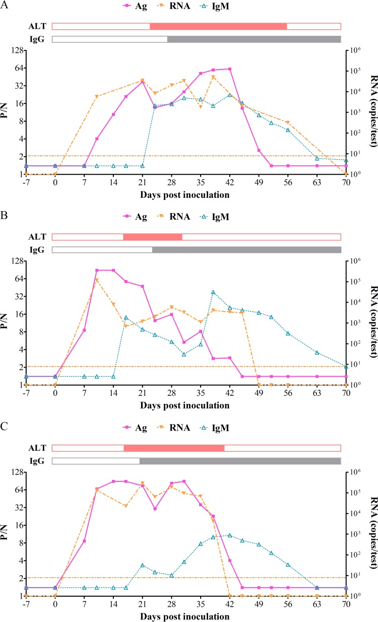 FIG 2