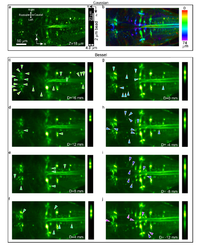 Fig. 4