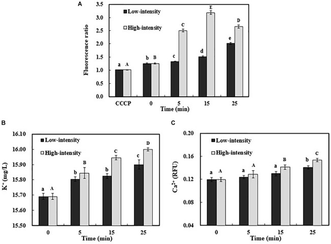 FIGURE 1