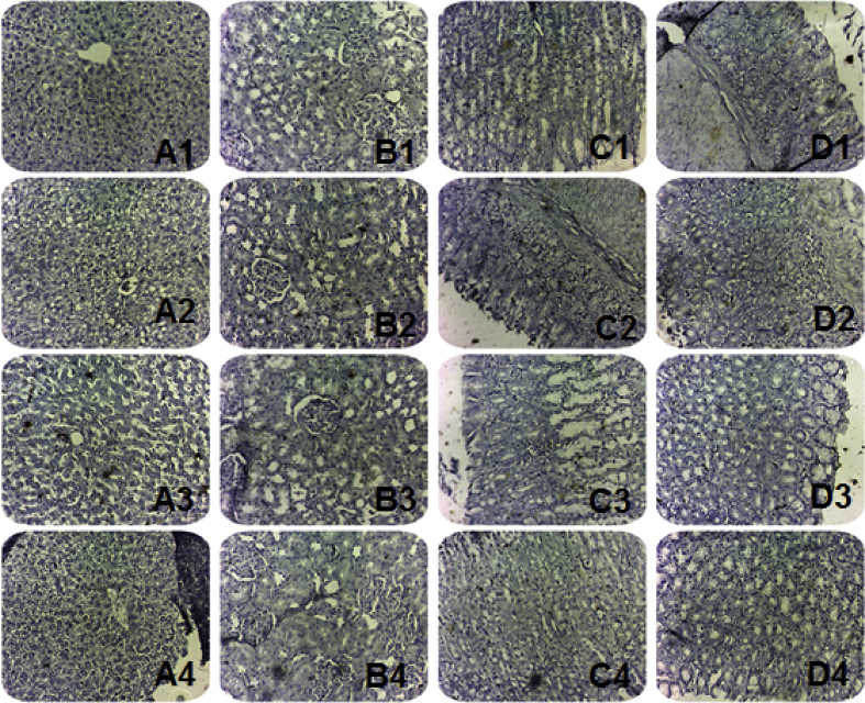 Figure 3