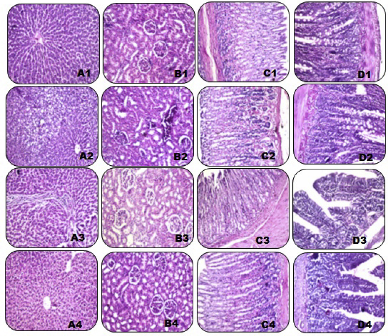 Figure 1