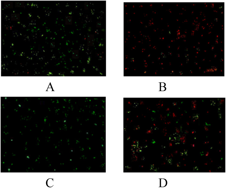 Fig. 8