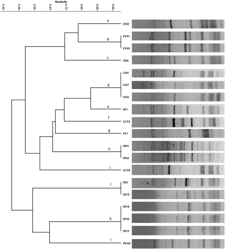 Fig. 1