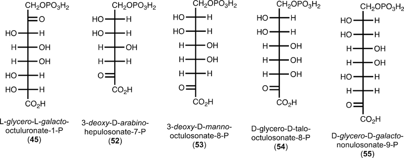 Figure 9.