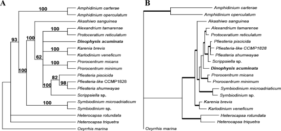 FIG. 5.