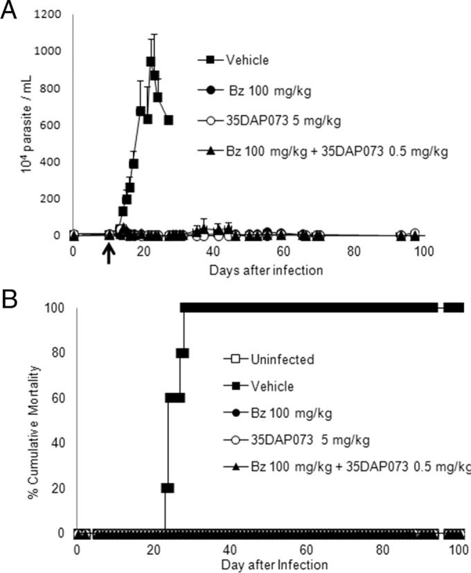 FIG 6