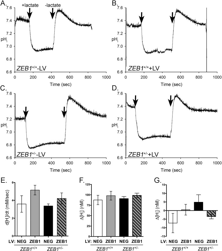 Fig 6