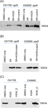 FIG 7