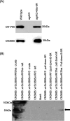 FIG 6