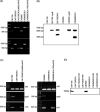 FIG 3