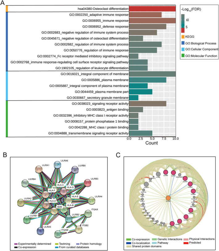 FIGURE 2