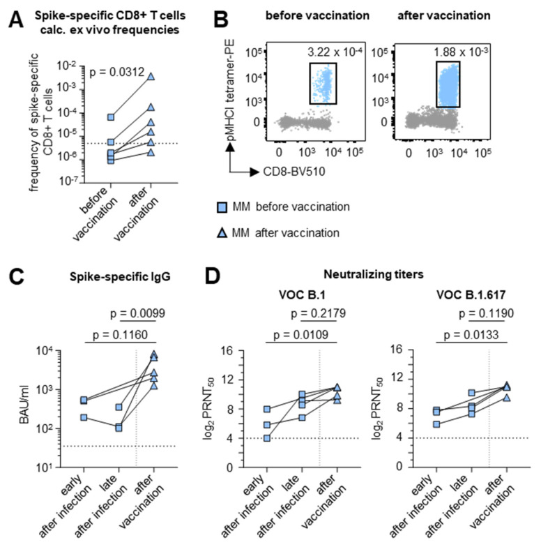 Impaired Sars-cov-2-specific Cd8+ T Cells After Infection Or 