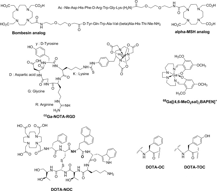 Fig. 1