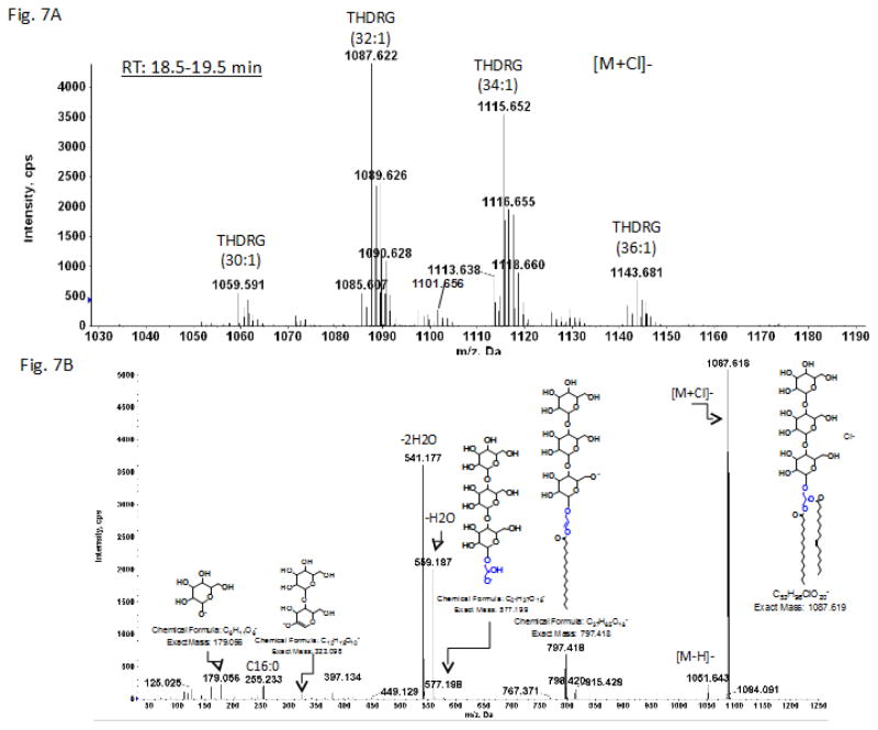 Fig. 7