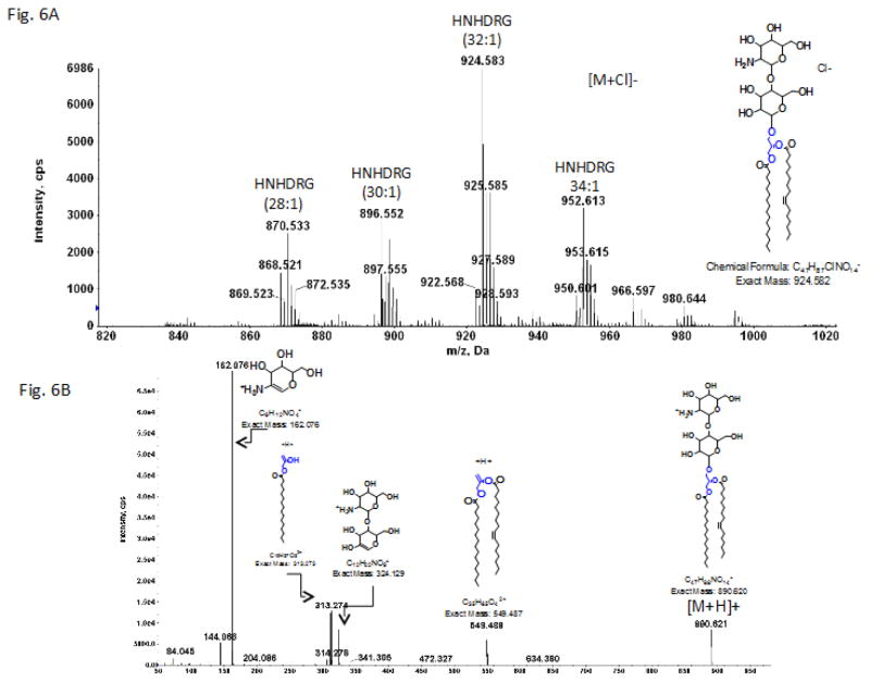 Fig. 6