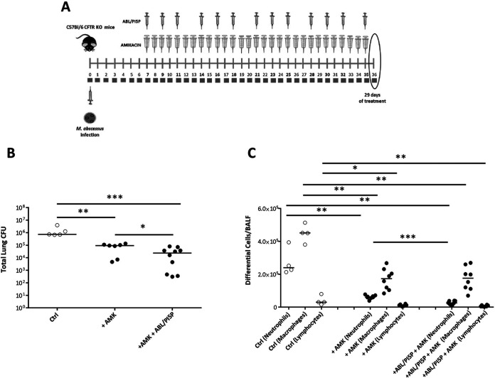 FIG 7