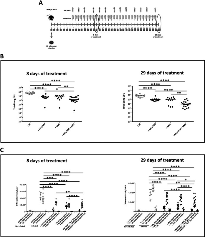 FIG 6