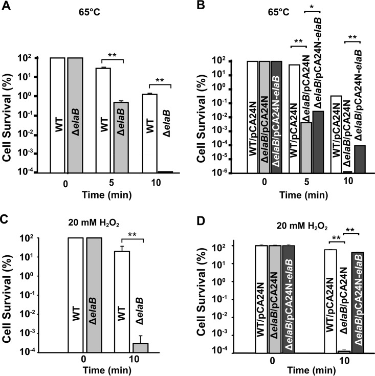 FIG 6