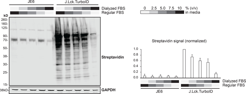 Figure 4: