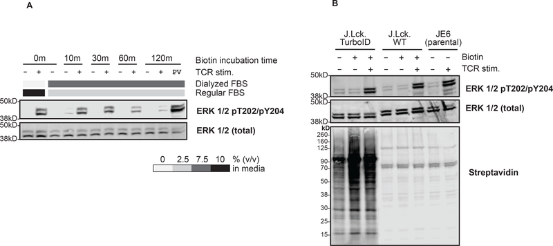 Figure 5: