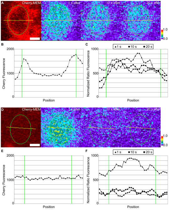 Fig. 4.