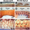 <sc>Fig</sc>. 5.