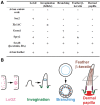 <sc>Fig</sc>. 7.