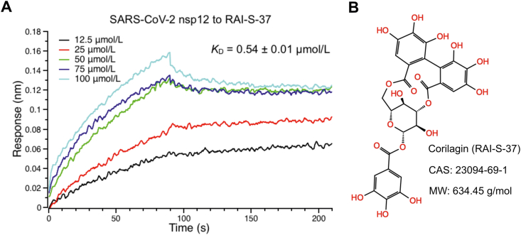 Figure 3